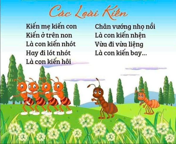 Bài thơ 